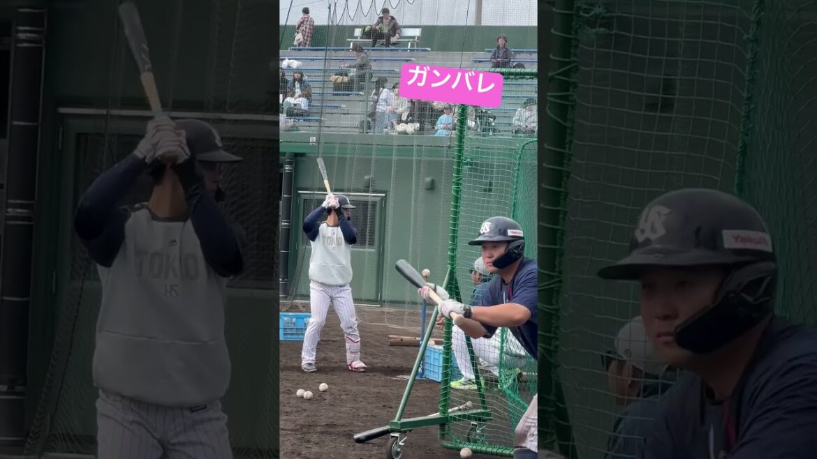 ガンバレ内山壮真選手！ヤクルトスワローズキャンプ
