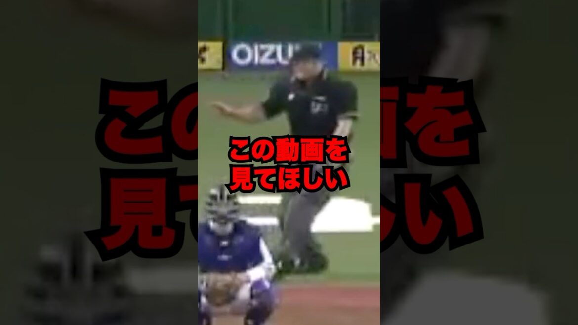 この動画を見てほしい(敷田球審)#shorts #プロ野球 #敷田 #敷田球審 この動画を見てほしい(敷田球審)#shorts #プロ野球 #敷田 #敷田球審