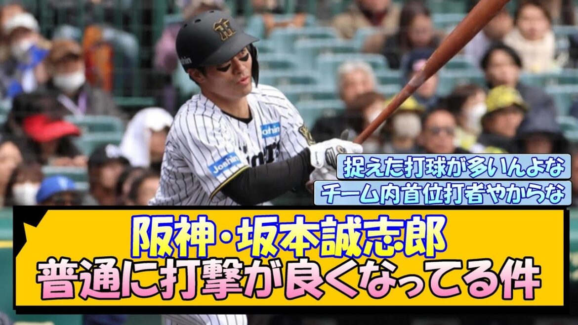 阪神・坂本誠志郎 普通に打撃が良くなってる件