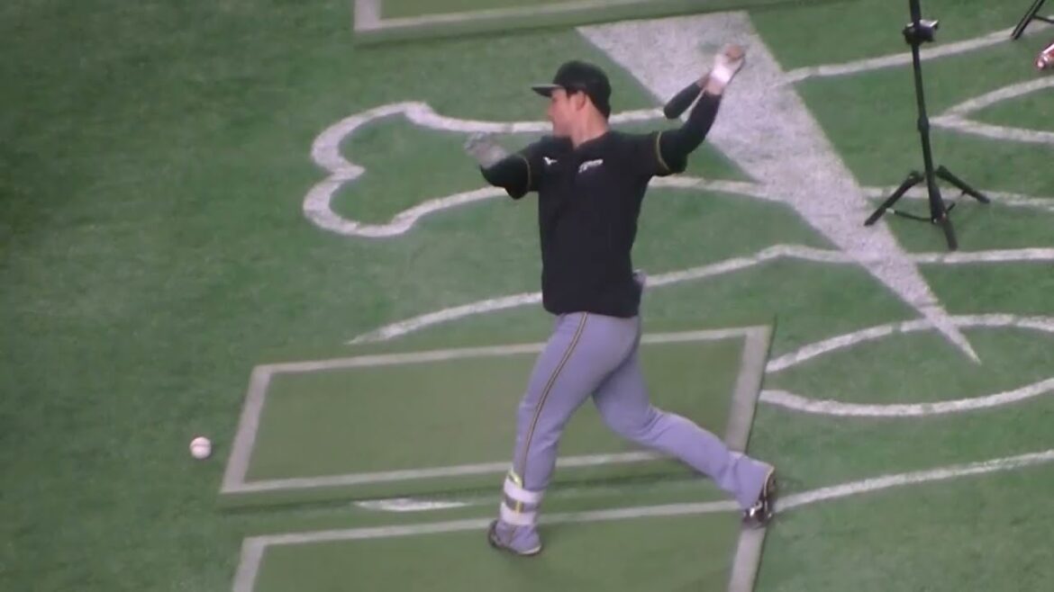 タイガース榮枝裕貴トスバッティング2025年4月4日 東京ドーム 阪神タイガース練習