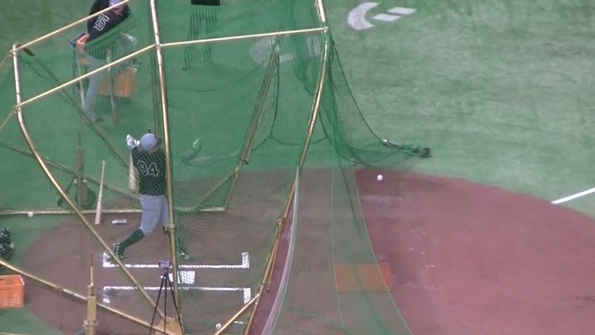 タイガース原口文仁フリーバッティング2025年4月4日 東京ドーム 阪神タイガース練習