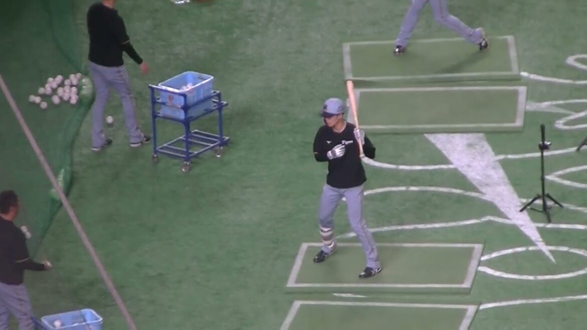 タイガース小幡竜平 片手トスバッティング2025年4月4日 東京ドーム 阪神タイガース練習