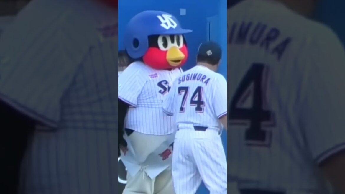 つば九郎、サンタナを出迎える20240817 #shorts