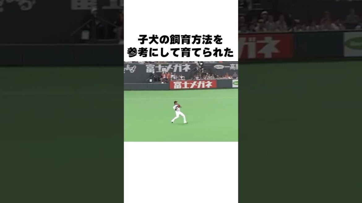 「子犬の飼育法で閃いた」糸井嘉男についての雑学 #プロ野球 #野球解説 #野球雑学