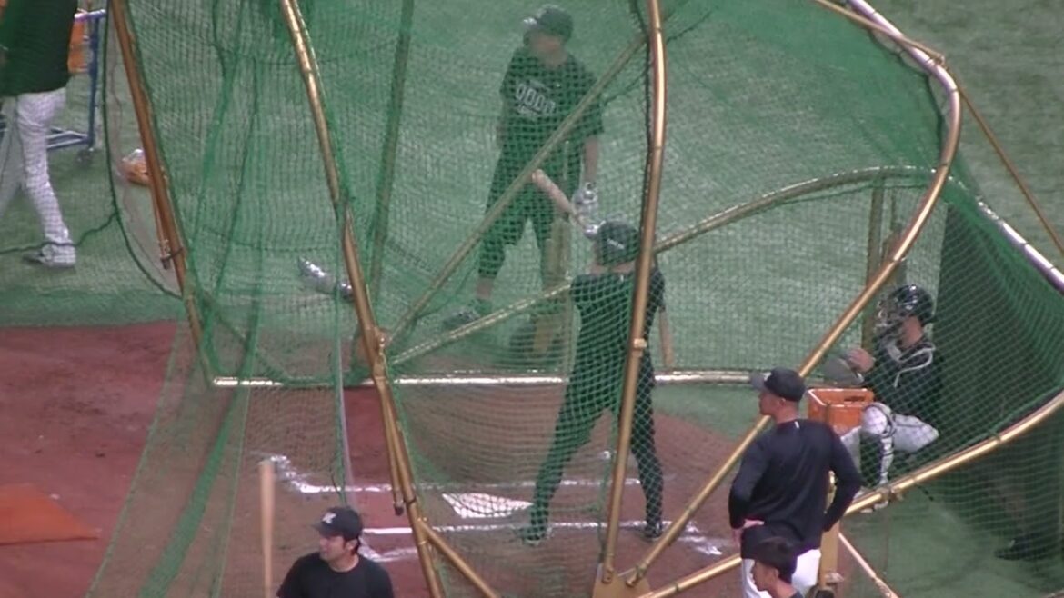 【千葉ロッテ】荻野貴司がフリーバッティング【読売ジャイアンツ対千葉ロッテマリーンズ2024年6月4日】