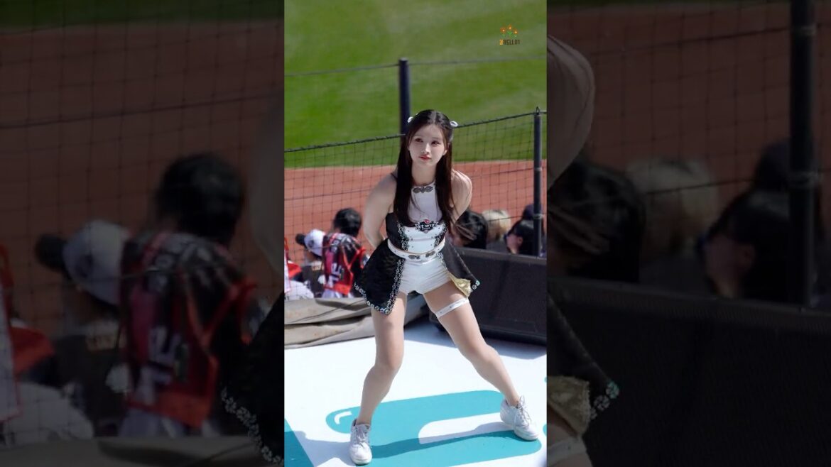 리듬 타는 김정원 치어리더 로하스 등장곡 리듬 타는 김정원 치어리더 로하스 등장곡