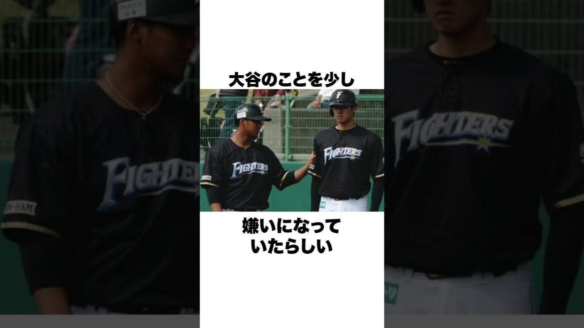 「ホームランを抜かれたら4番を辞める」と言った中田翔と大谷翔平についての雑学 #野球 #野球雑学#日本ハムファイターズ