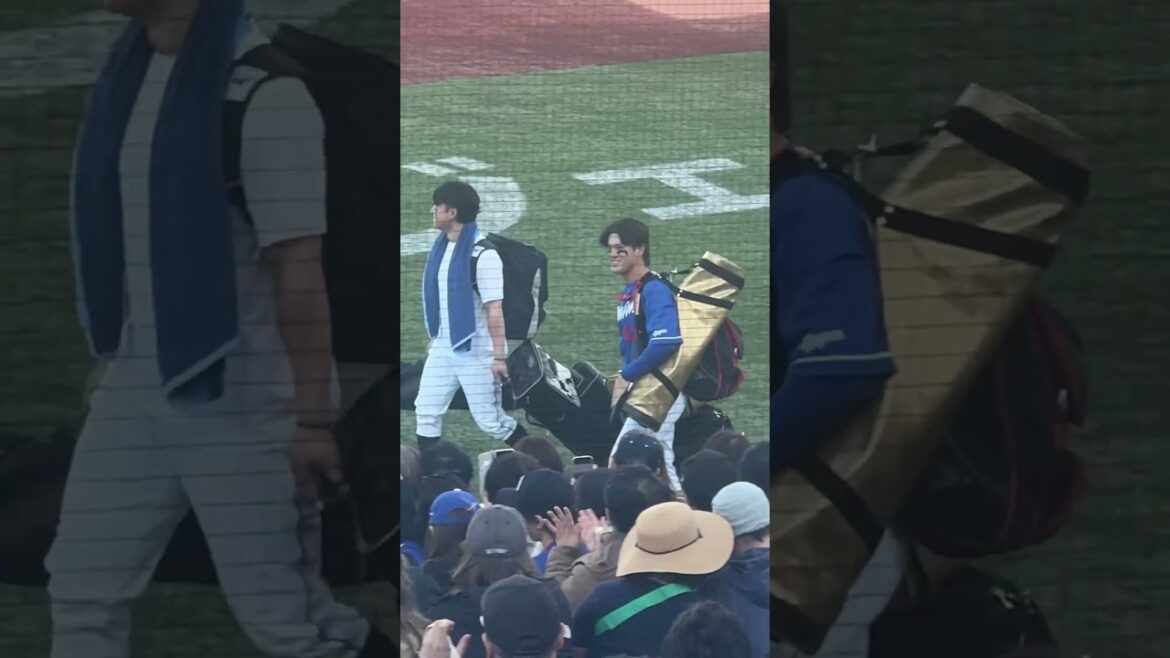 神宮が得意な村松選手と板山選手 #中日ファンだもんで #村松開人 #板山祐太郎