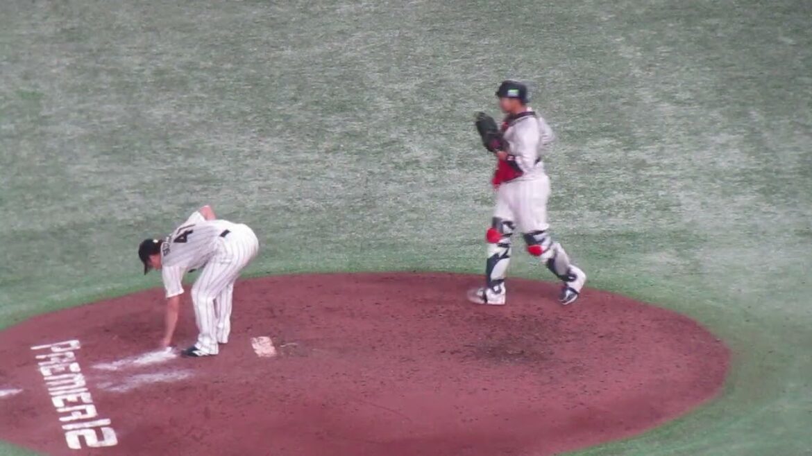 【日本代表】鈴木昭汰の投球フォーム（2024年11月22日 プレミア12日本 対 ベネズエラ ）