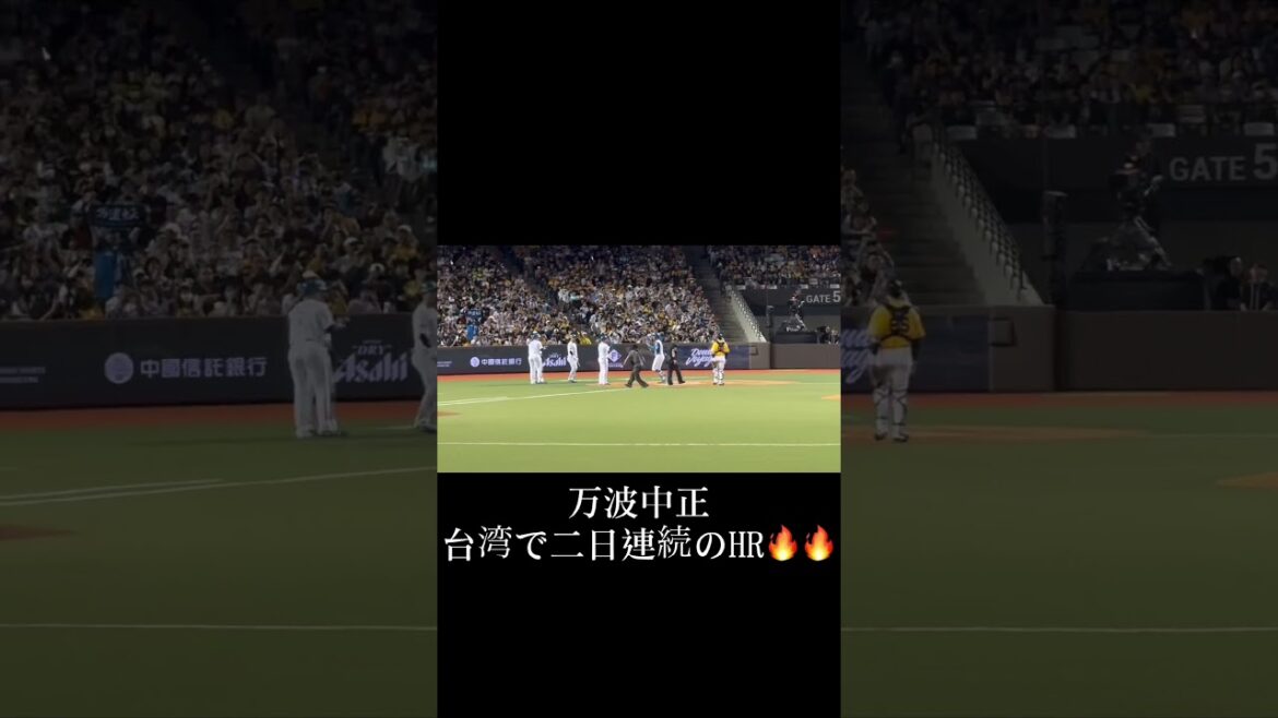 万波中正、台湾で二日連続のホームラン🔥🔥#ファイターズ  #万波中正 #プロ野球 #野球