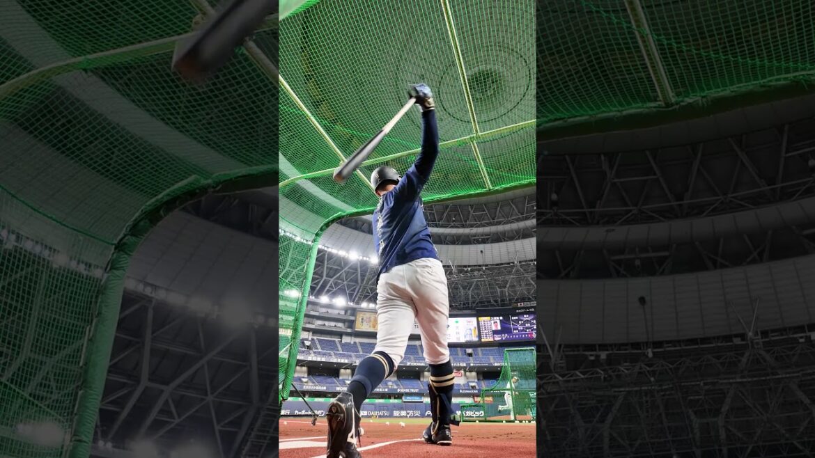 野口智哉選手バッティング練習⚾️#野口智哉 #バッティング#オリックス#shorts