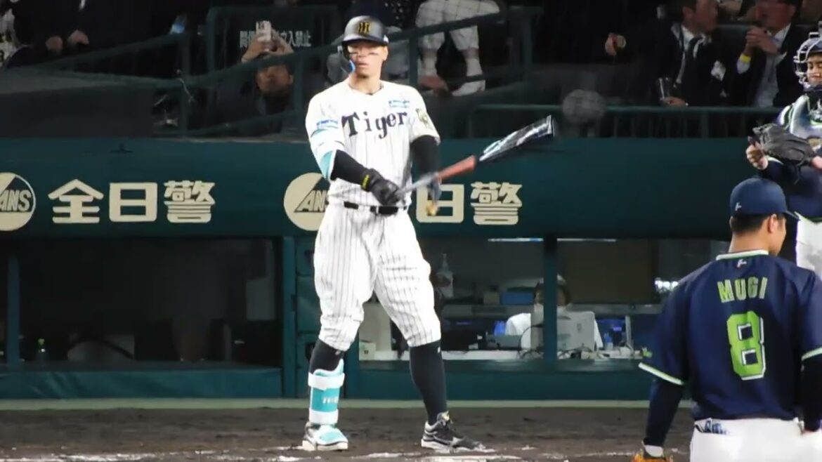 【無事で何より】体調不良でスタメンを外れた佐藤輝明 代打で登場 場内は大歓声で迎える 【無事で何より】体調不良でスタメンを外れた佐藤輝明 代打で登場 場内は大歓声で迎える