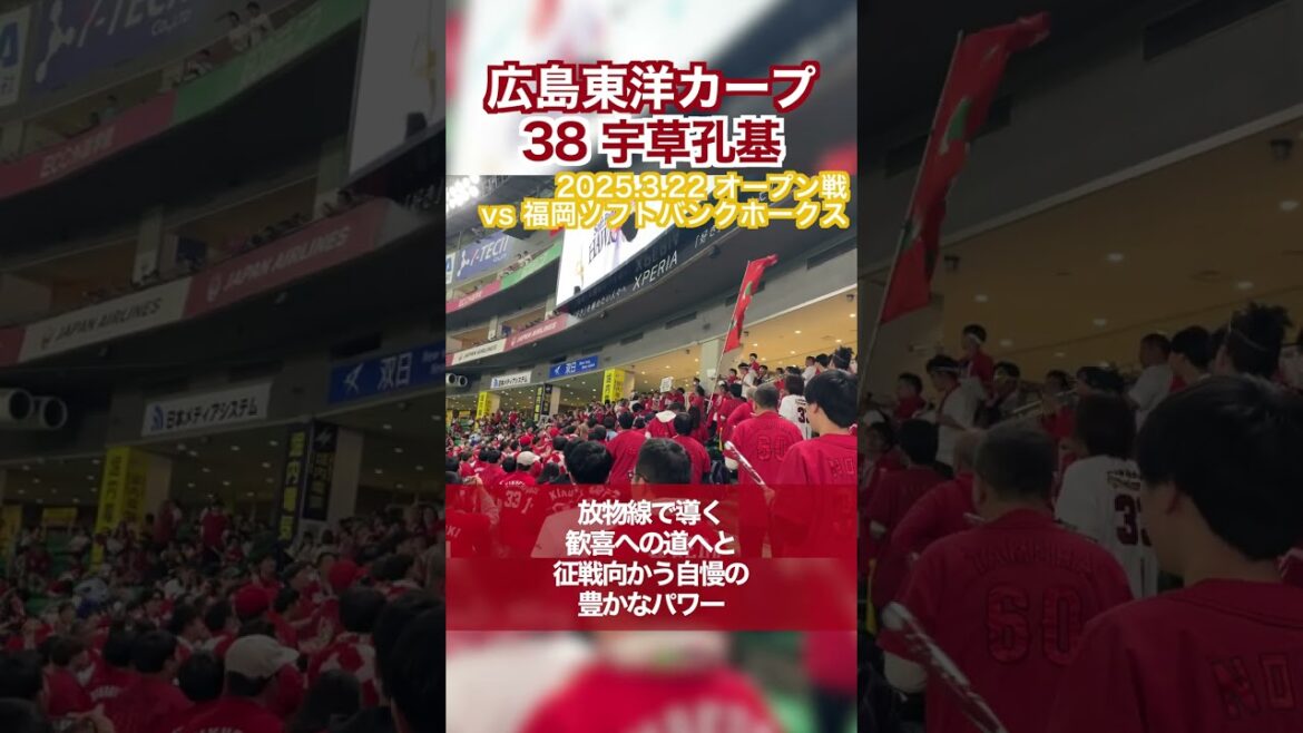 【広島東洋カープ】38宇草孔基選手のテーマ【応援歌】#広島東洋カープ  #carp #宇草孔基 #shorts
