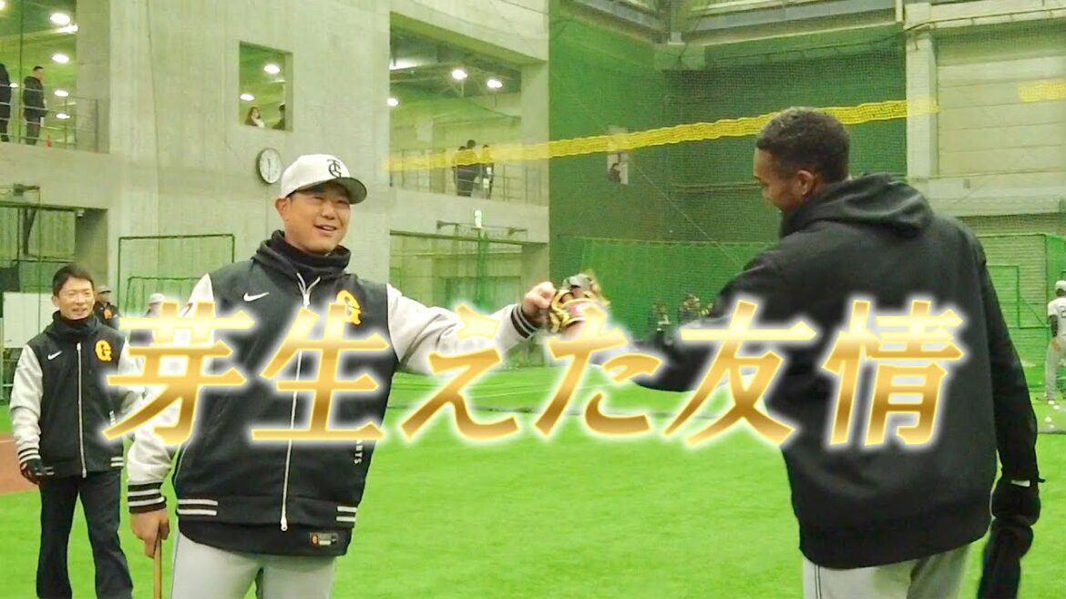 「内海×マルティネス」友情の芽吹き？？