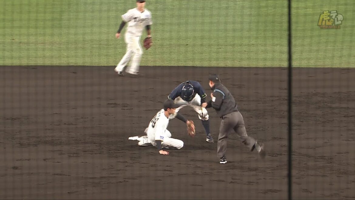 【バズーカ炸裂】2回表 #梅野隆太郎 選手がストライク送球で赤羽選手の盗塁を刺す！【2025/4/9Ｔ－Ｓ】