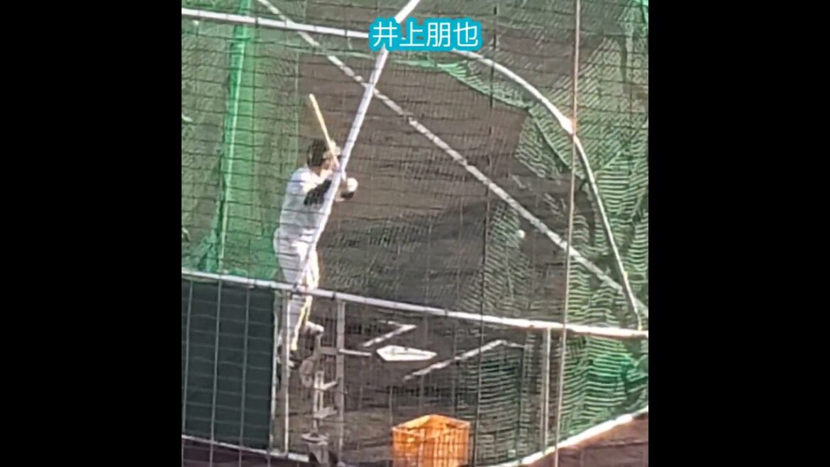 20250222　#井上朋也 試合後の打撃練習　#shorts　ﾊﾞｯﾃｨﾝｸﾞ練習　打ち込み　福岡ｿﾌﾄﾊﾞﾝｸﾎｰｸｽ@宮崎市生目の杜運動公園ｱｲﾋﾞｰｽﾀｼﾞｱﾑ･外野ﾚﾌﾄ ｵｰﾌﾟﾝ戦