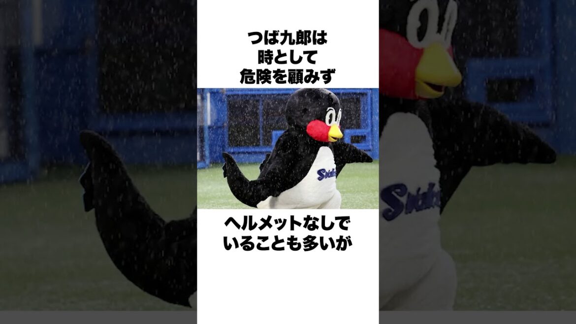 「ボールが直撃したつば九郎」つば九郎とドアラについての雑学#野球 #野球雑学#ヤクルトスワローズ