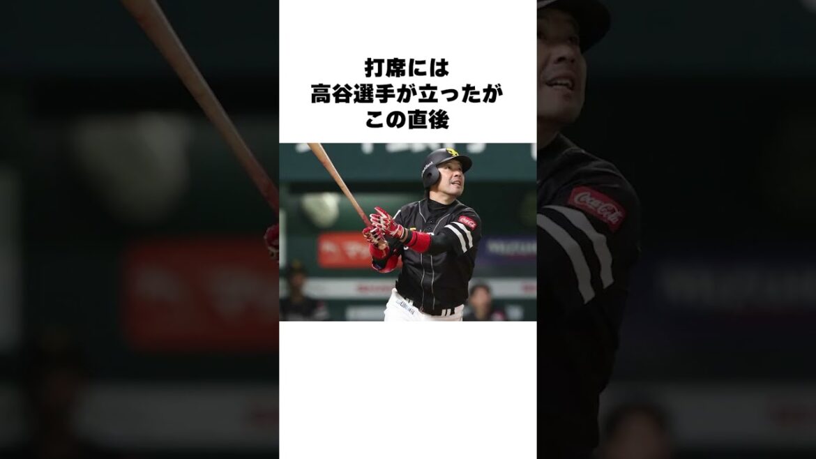 「打球が顔面に直撃して緊急搬送された」小林慶祐についての雑学#野球#野球雑学#オリックスバファローズ