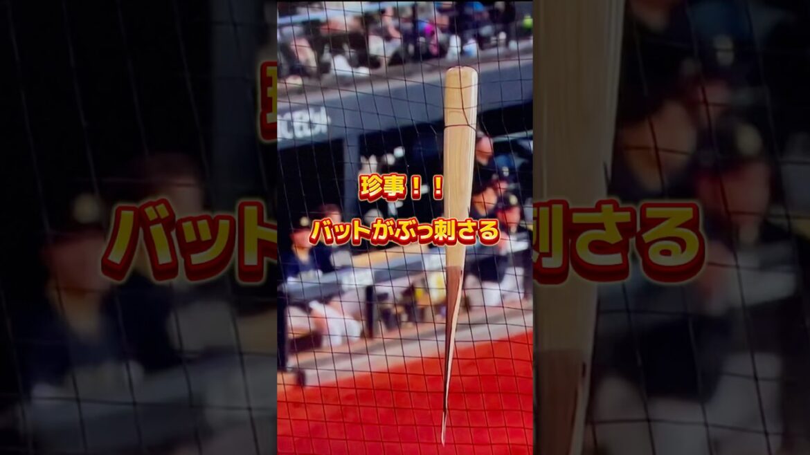 折れたバットがぶっ刺さる❗️