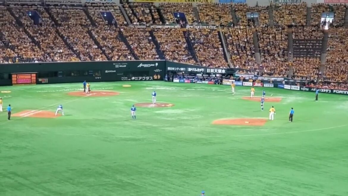 20240804【柳町達ｻﾖﾅﾗﾋｯﾄ】九州で流れる関東限定アッチャンは達観です　9回ｳﾗ　福岡ｿﾌﾄﾊﾞﾝｸﾎｰｸｽ@みずほPayPayﾄﾞｰﾑ福岡［鷹祭 SUMMER BOOST 2024］