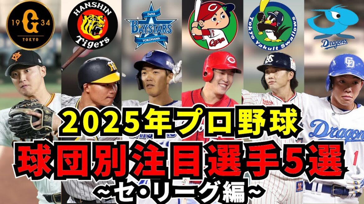【プロ野球】球団別注目選手5選-セ・リーグ編-