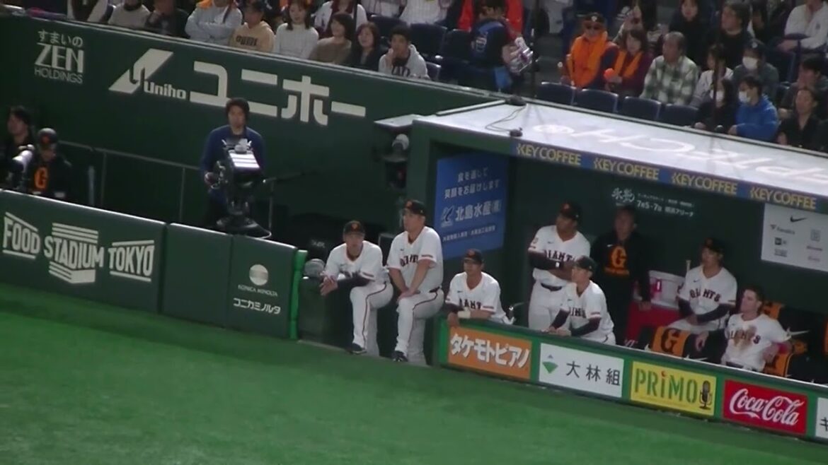 ジャイアンツベンチとデッドボールの岡本和真とオスナ【読売ジャイアンツ対 ヤクルトスワローズ 2025年3月29日】