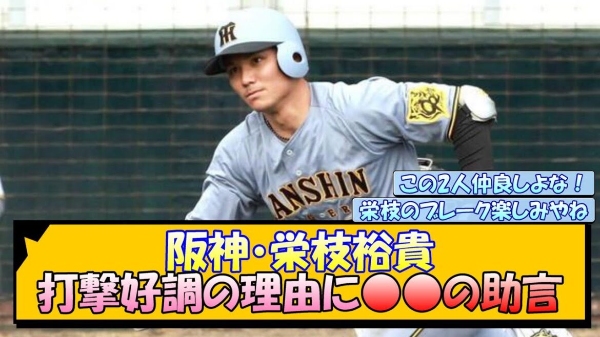 阪神・栄枝裕貴 打撃好調の理由に○○の助言【なんJ/2ch/5ch/ネット 反応 まとめ/阪神タイガース/藤川球児/プロ野球/佐藤輝明】