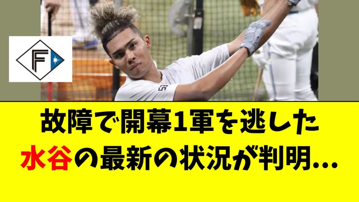 【日本ハム】水谷瞬の最新の状況が判明した件・・・