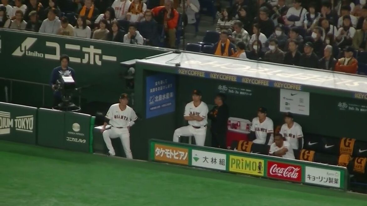 岡本和真の打席を腕組んでみる大城卓三などベンチの様子【読売ジャイアンツ対 ヤクルトスワローズ 2025年3月29日】