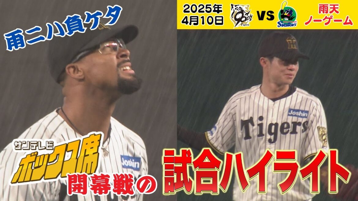 【4/10 阪神－ヤクルト ボックス席の試合ハイライト】さぁ！ボックス席が開幕した！と思ったら…☔サトテルのヒット見れたからOK！ #サンテレビボックス席