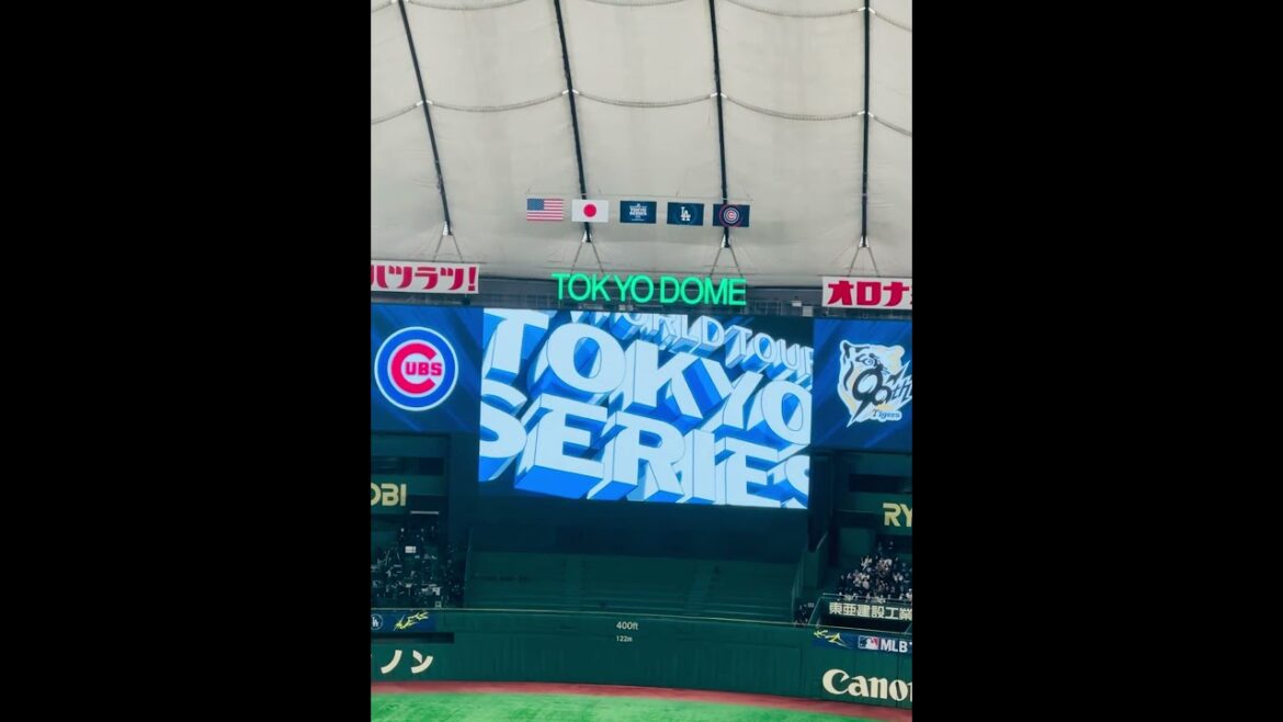 【緊張のvsカブス】2025.3.15 阪神vsカブス 試合前ビジョン演出 【緊張のvsカブス】2025.3.15 阪神vsカブス 試合前ビジョン演出