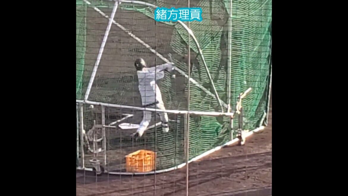 20250222　#緒方理貢 試合後の打撃練習　#shorts　ﾊﾞｯﾃｨﾝｸﾞ練習　打ち込み　福岡ｿﾌﾄﾊﾞﾝｸﾎｰｸｽ@宮崎市生目の杜運動公園ｱｲﾋﾞｰｽﾀｼﾞｱﾑ･外野ﾚﾌﾄ ｵｰﾌﾟﾝ戦