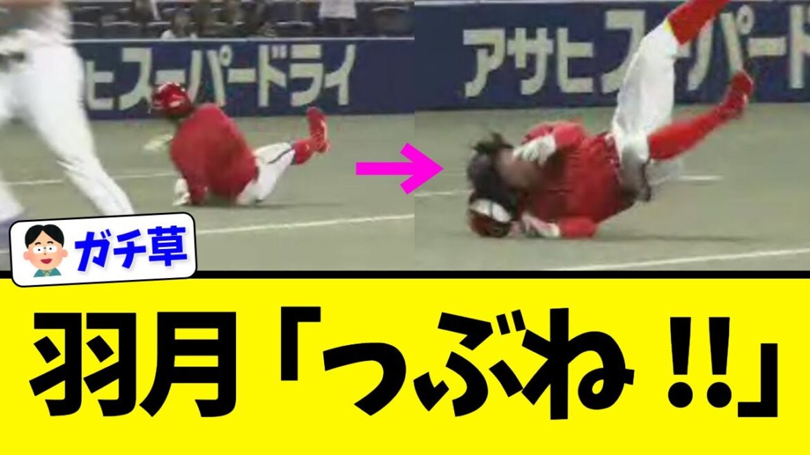 【中村奨成】広島カープさん、伝統芸能