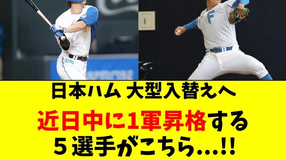 【日ハム】大型選手入替えの可能性。２軍から昇格間近の５人