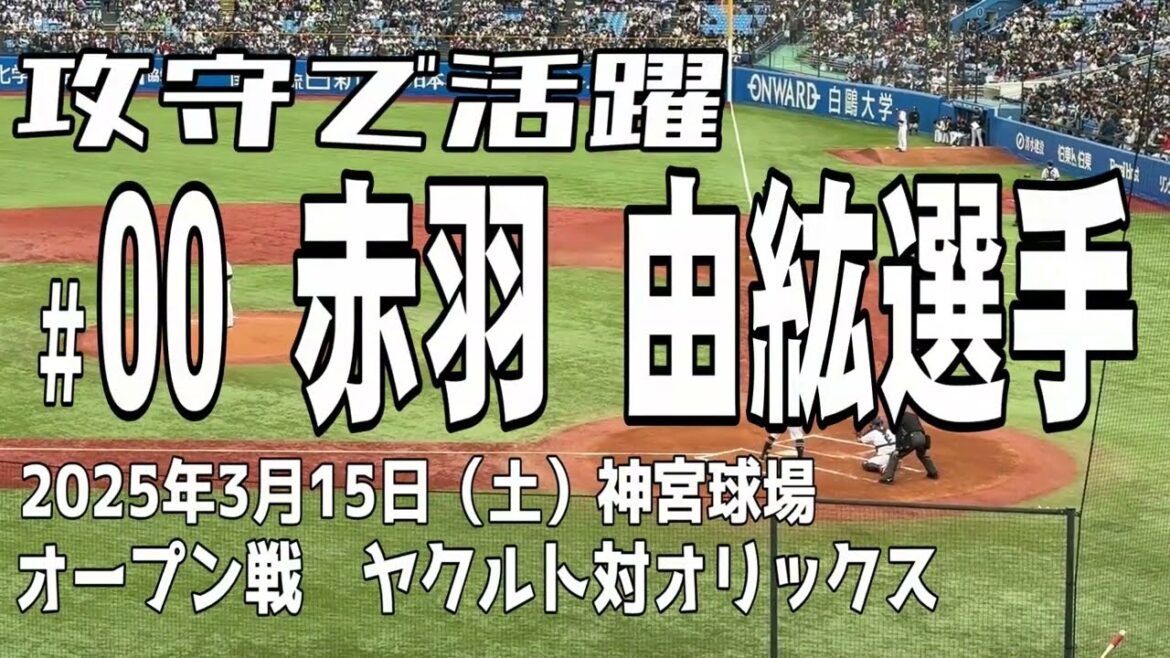 【攻守で活躍】赤羽由紘選手 東京ヤクルトスワローズ