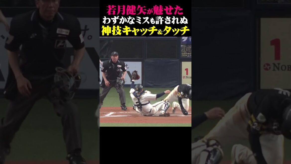 わずかなミスも許されぬ『神技キャッチ＆タッチ』 #shorts