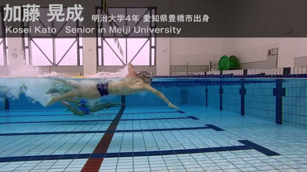 【水泳動画｜Freestyle】明治大学水泳部　加藤 晃成