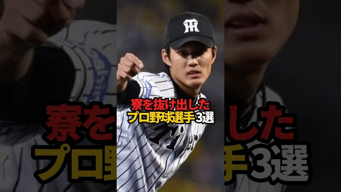 寮を抜け出したプロ野球選手 3選#sports #shorts #プロ野球 #野球 #やきゅスト