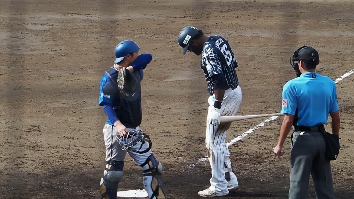 2024.09.01 埼玉西武-横浜DeNA #コルデロ 打席シーン (カーミニーク) 2024.09.01 埼玉西武-横浜DeNA #コルデロ 打席シーン (カーミニーク)