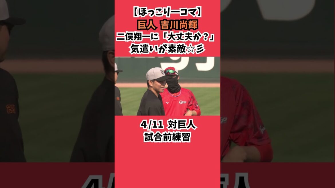 【ほっこり一コマ】巨人・吉川尚輝の気遣いが素敵！二俣翔一を心配 #カープ #野球 #吉川尚輝 #二俣翔一