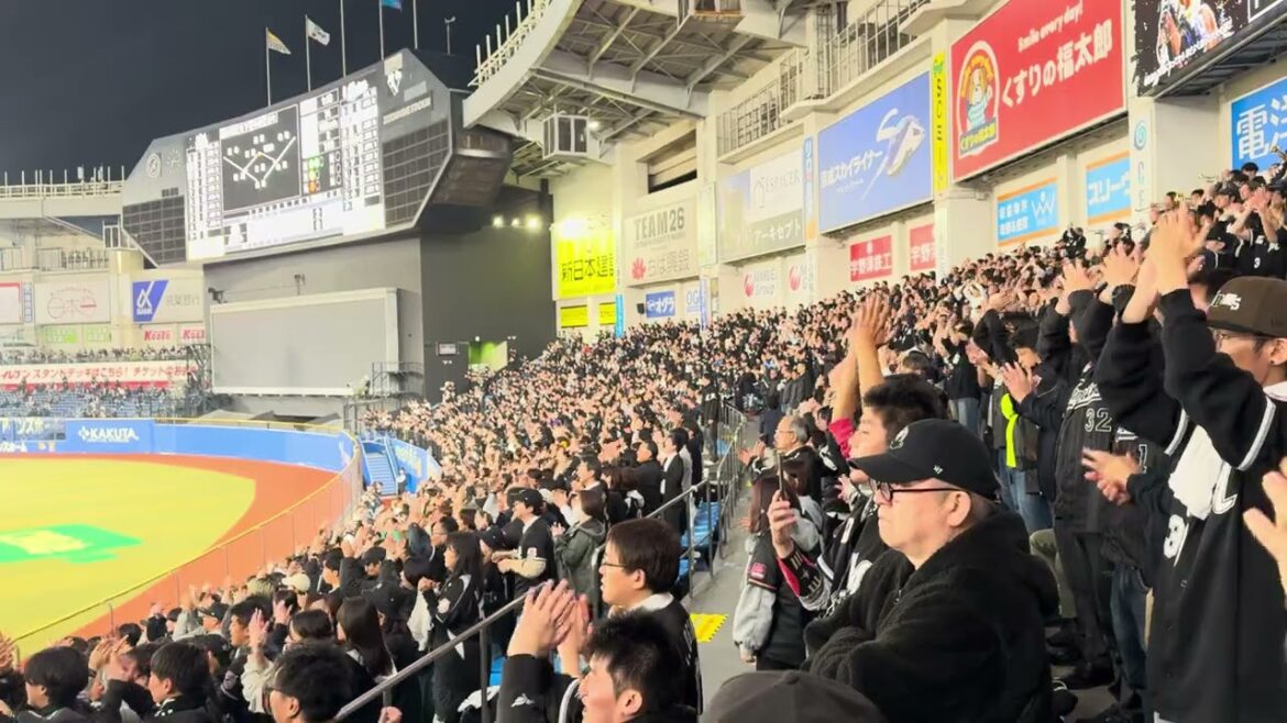 藤岡裕大応援歌 2025/4/11 ロッテ vs ソフトバンク #chibalotte 藤岡裕大応援歌 2025/4/11 ロッテ vs ソフトバンク #chibalotte