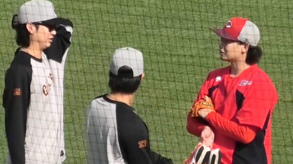 日本ハムファイターズから移籍したカープ鈴木健矢、巨人田中瑛斗、郡拓也が談笑！広島東洋カープvs読売ジャイアンツ 2025年4月12日