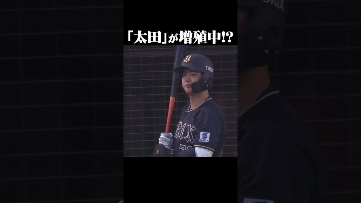 「太田」が増殖中!? 太田(光)太田(椋)太田(宗) #shorts