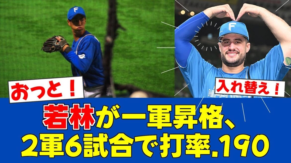 【朗報＆悲報】日ハム若林昇格！マルティネス二軍調整へ【日ハムファンの反応】【F速報】