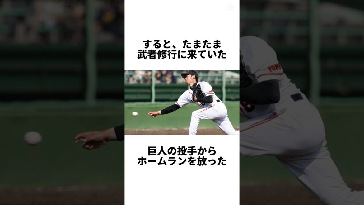 【追悼】『コスパ最強助っ人トニブランコ』について #プロ野球 #野球 #中日 #中日ドラゴンズ #ブランコ #トニブランコ #助っ人 #追悼 【追悼】『コスパ最強助っ人トニブランコ』について #プロ野球 #野球 #中日 #中日ドラゴンズ #ブランコ #トニブランコ #助っ人 #追悼