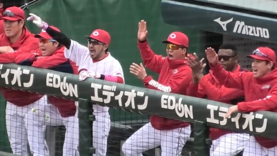 矢野雅哉が絶妙なスクイズを決めたカープベンチの瞬間！広島東洋カープvs読売ジャイアンツ 2025年4月12日