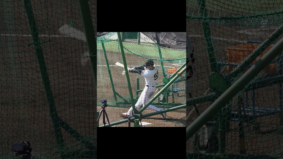 【巨人】秋広優人選手の打撃練習の弾道がえぐかった #shorts #baseball #sports #ジャイアンツ #巨人 #プロ野球
