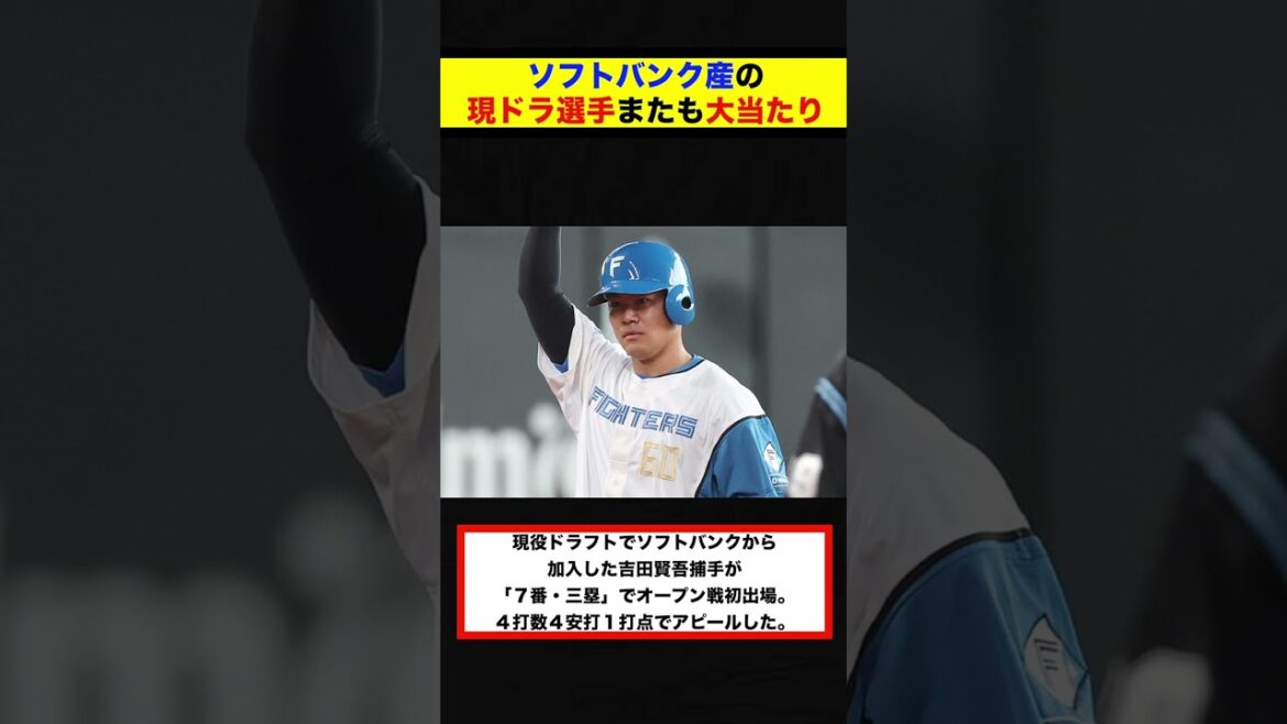 【反応集】ソフトバンク産の現ドラ選手またも大当たりwww【#short】【#shorts】【#野球】【#反応集】【#吉田賢吾】 【反応集】ソフトバンク産の現ドラ選手またも大当たりwww【#short】【#shorts】【#野球】【#反応集】【#吉田賢吾】