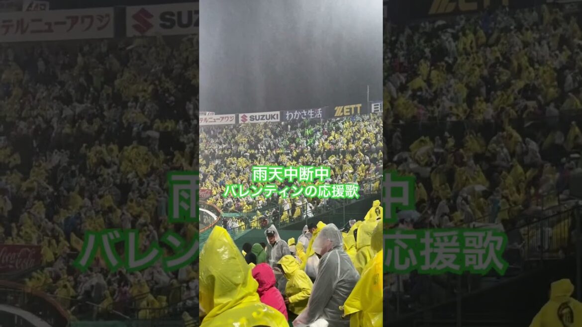 #東京ヤクルトスワローズ #ヤクルト #スワローズ #バレンティン 雨天中断中にバレンティンの応援歌