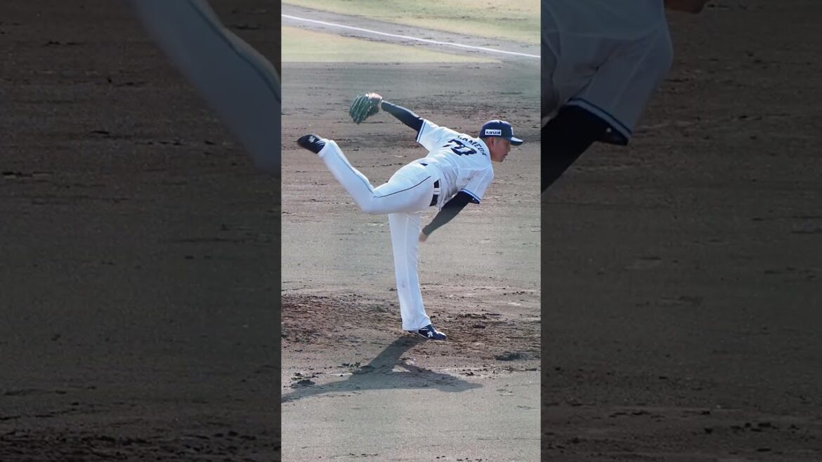 2025.03.20 埼玉西武-北海道日本ハム #豆田泰志 投球練習 (越谷市民球場) #seibulions #プロ野球 2025.03.20 埼玉西武-北海道日本ハム #豆田泰志 投球練習 (越谷市民球場) #seibulions #プロ野球